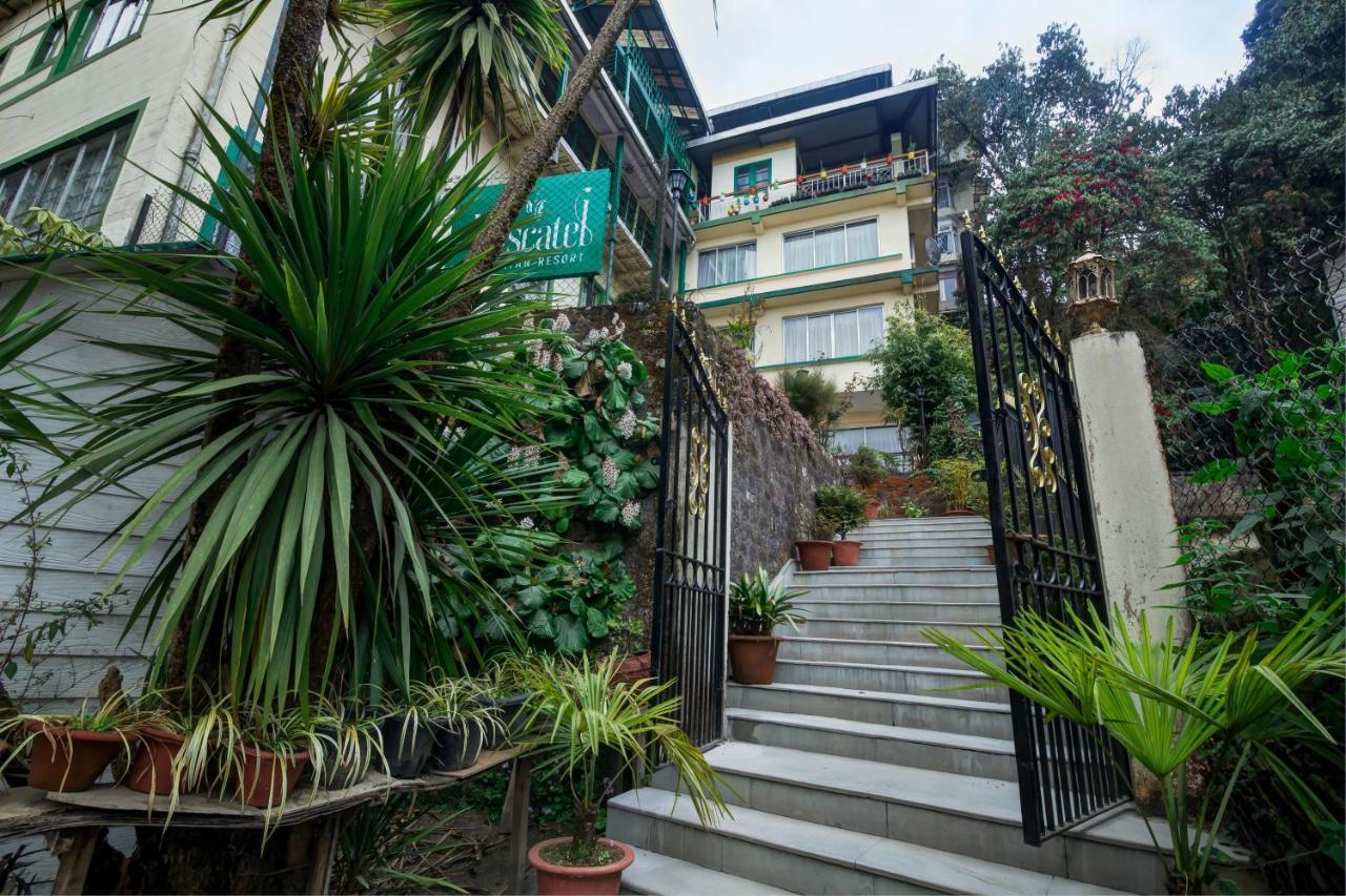 Muscatel Himalayan Resort - 400 Mts From Mall Road Дарджилінг Екстер'єр фото